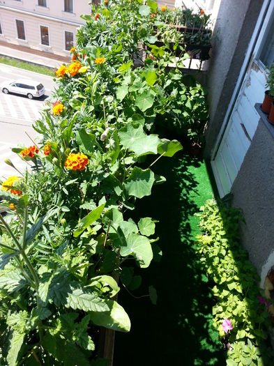 20150608_140855 - balcon 2015