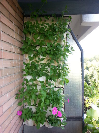 20150608_194055 - balcon 2015