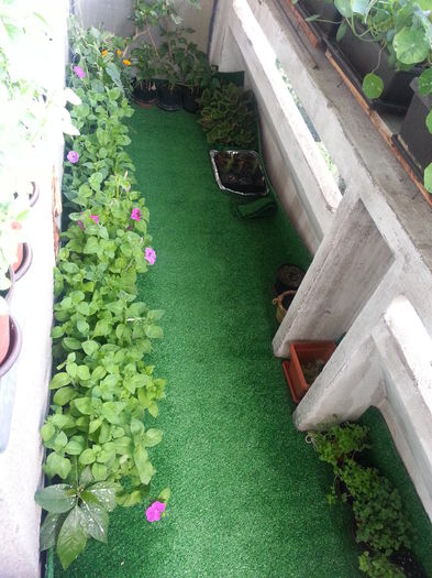 20150610_184904 - balcon 2015