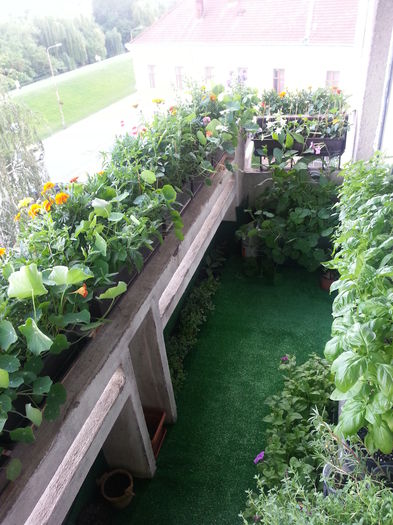 20150610_184941 - balcon 2015