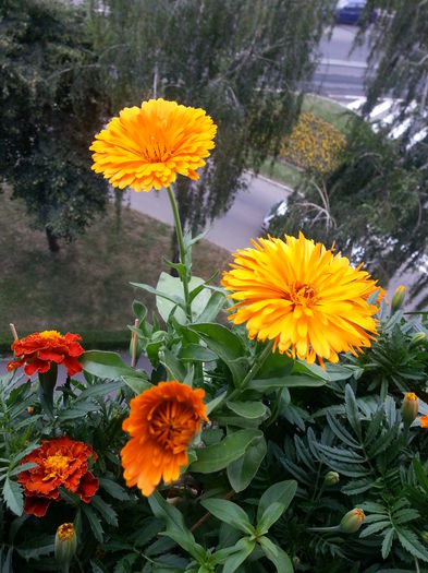 20150611_172424