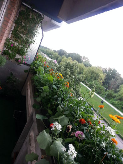 20150611_172721