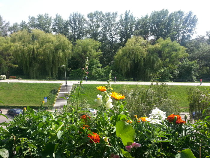 20150612_161608