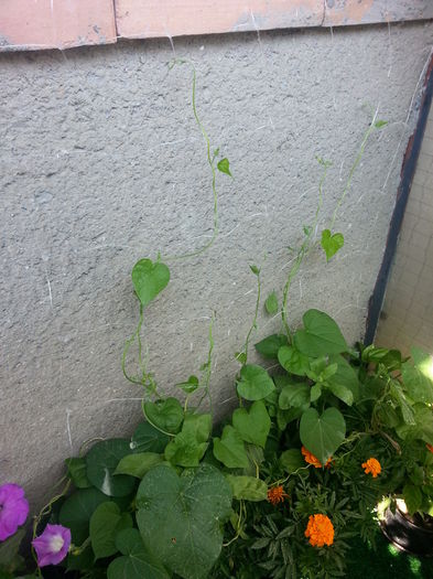 20150612_161643