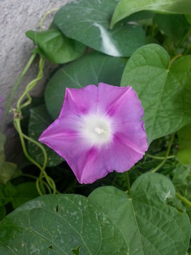 20150612_161647