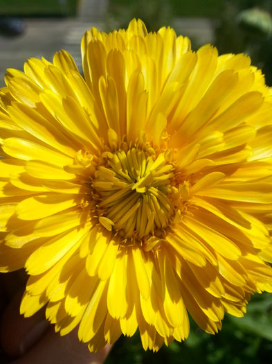 20150612_161749