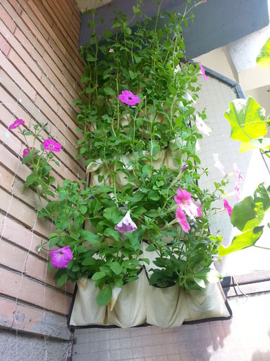 20150612_162327