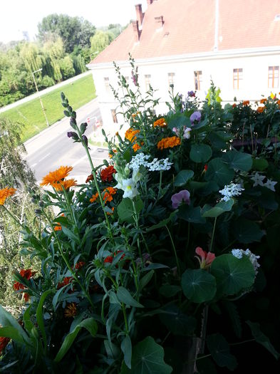 20150613_095544