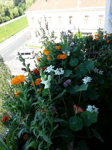 20150613_095548 - balcon 2015