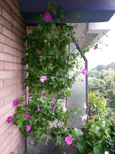 20150615_085849