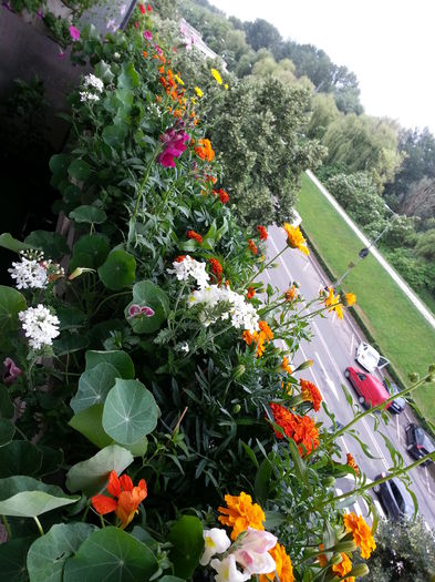 20150615_085914 - balcon 2015