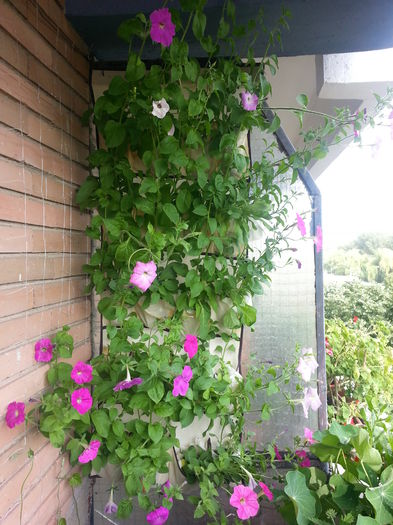 20150615_174331
