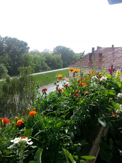 20150615_174416 - balcon 2015