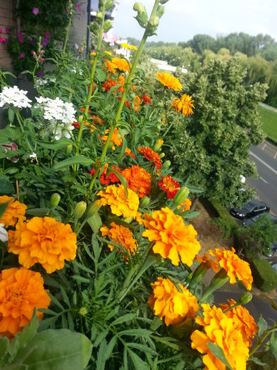 20150615_174551