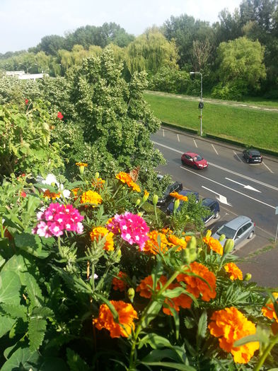 20150615_174946 - balcon 2015