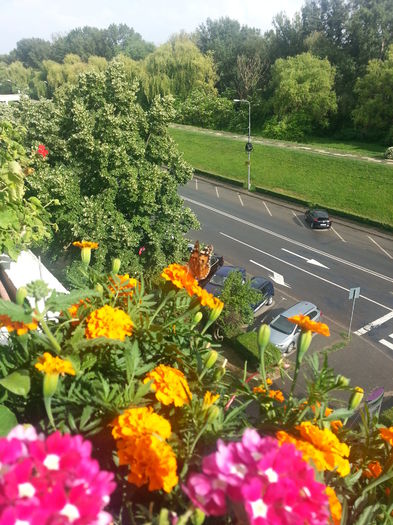 20150615_174957 - balcon 2015