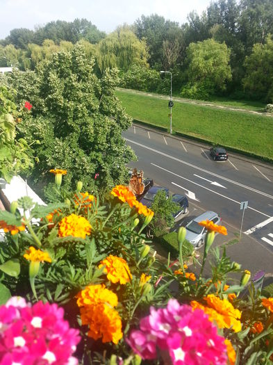 20150615_174959