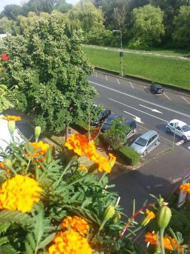20150615_175009