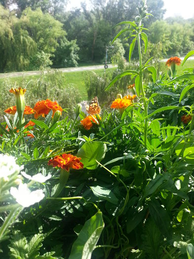 20150615_175235