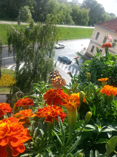 20150615_175248