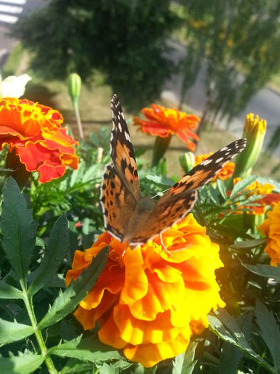 20150615_175313