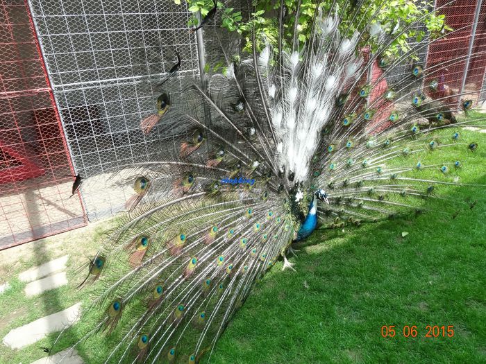 DSC01076