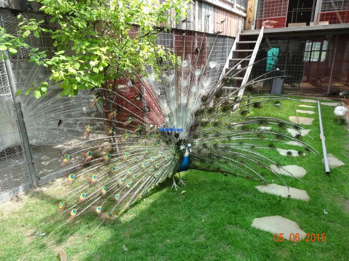 DSC01078