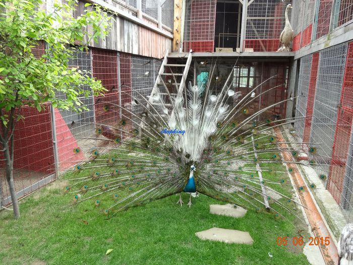 DSC01089
