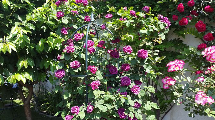 Souvenir du Dr. Jamain 2015-06-01