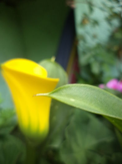 DSC04226