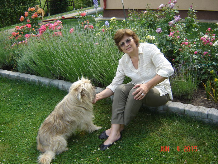 DSC00011 - Trandafiri