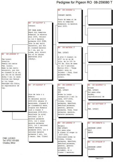 259080 complet Fam Lucaci - Femela matca - Perechea5