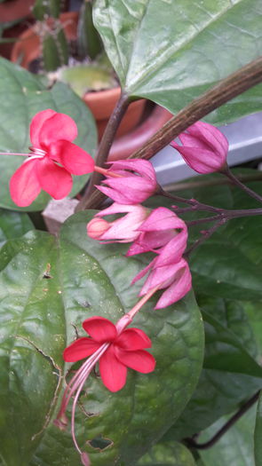 20150616_074051