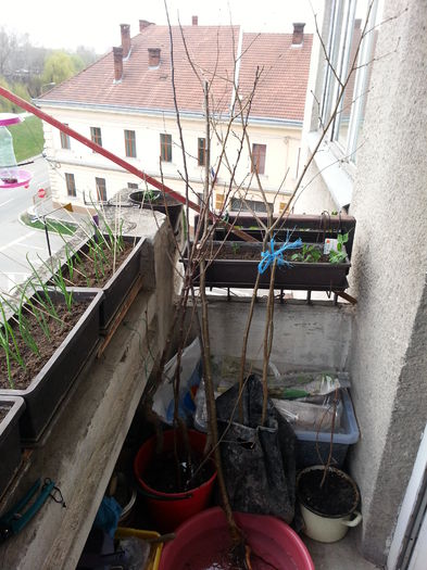 20150327_171510