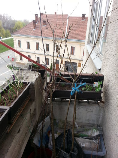 20150327_171512