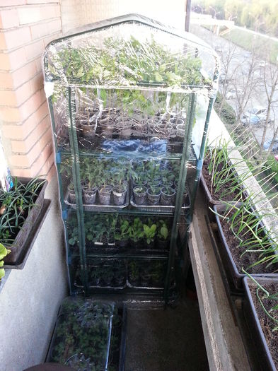 20150410_195932 - rasaduri 2015