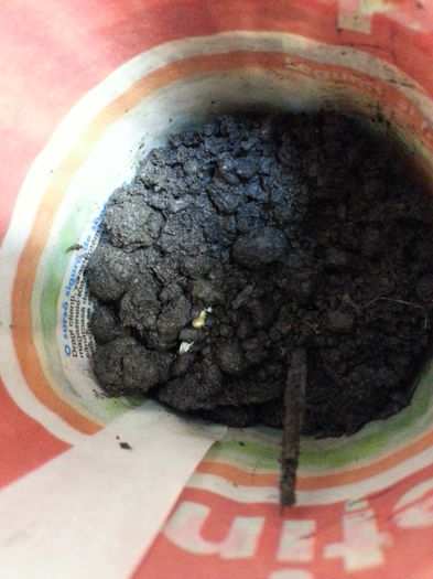 20150411_191407 - rasaduri 2015