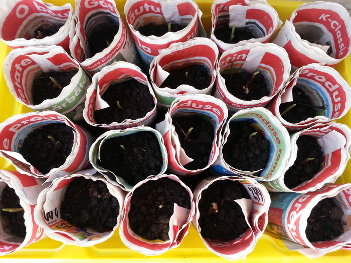 20150414_161449 - rasaduri 2015