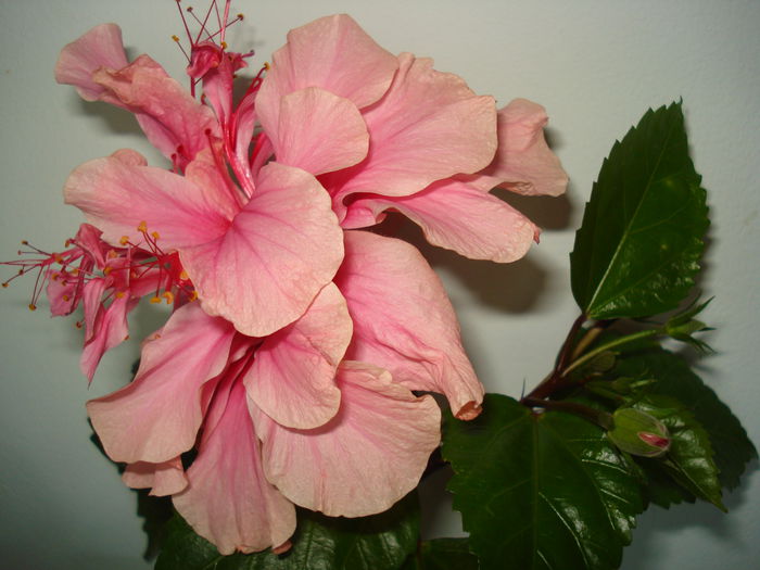 DSC01853