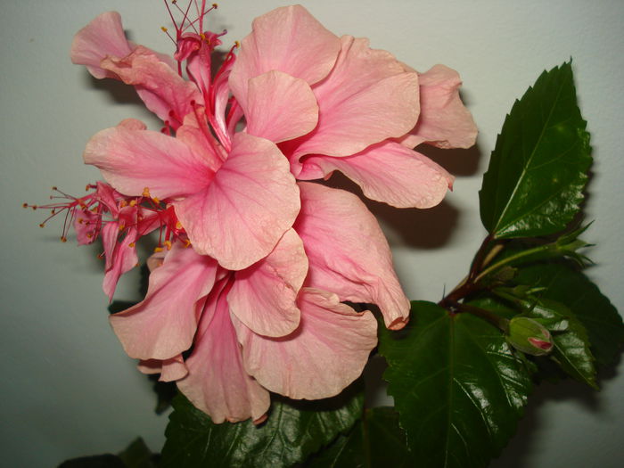 DSC01854