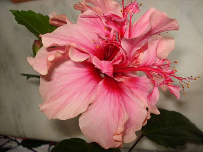 DSC01860