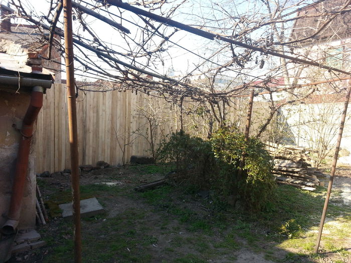 20150321_155539 - gradina 2015 vol 1