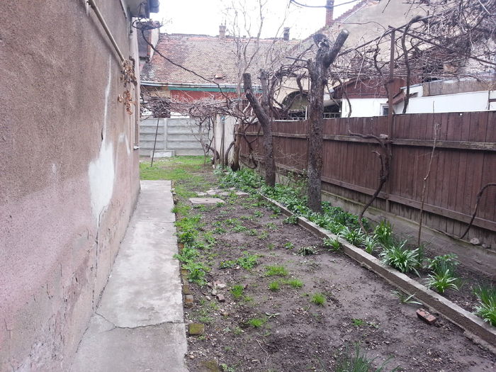 20150402_153124