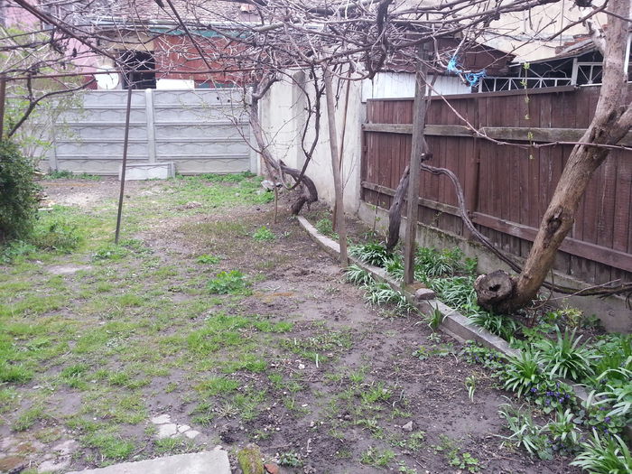 20150402_153137