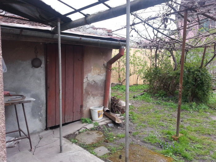 20150402_153144 - gradina 2015 vol 1