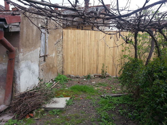 20150402_153204 - gradina 2015 vol 1