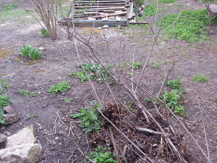 20150402_153337