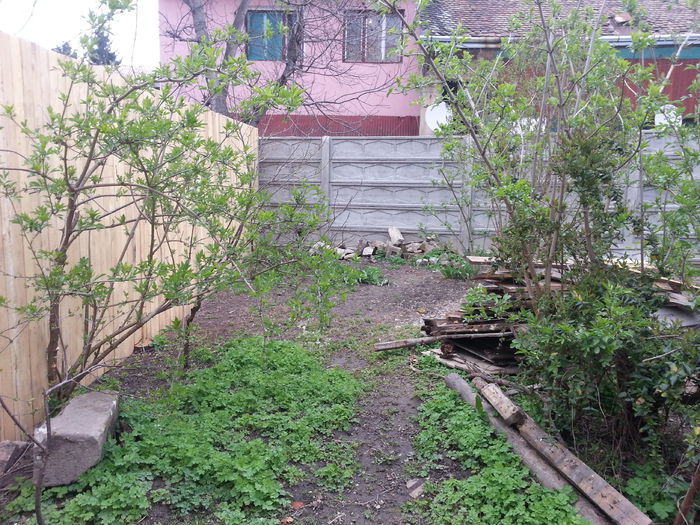 20150402_153412