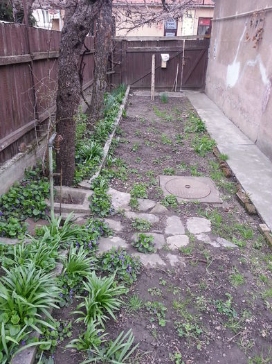 20150402_153605 - gradina 2015 vol 1