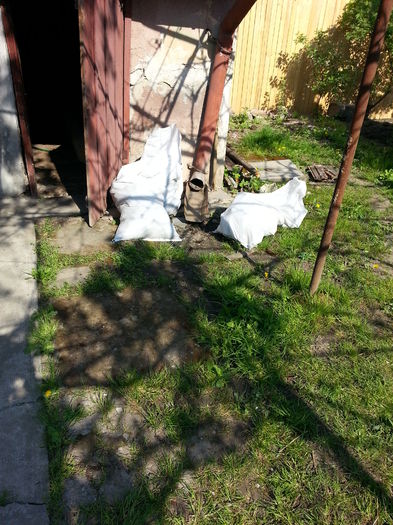 20150425_102041 - gradina 2015 vol 1